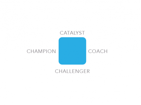 BDC Catalyst Coach